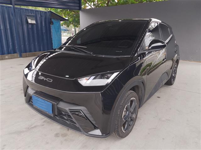 LOTE 098 DOLPHIN MINI GS EV 2023/2024 
